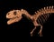 Allosaurus Skeleton Isolated on Black