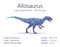 Allosaurus. Theropoda dinosaur. Colorful vector illustration of prehistoric creature allosaurus and description of