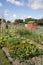 Allotment