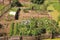 An allotment garden