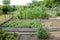 Allotment Gardens