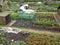 Allotment gardens in Berwick Upon Tweed