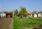 Allotment plots in Spring with fallen tree