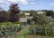 Allotments at Guiting Power, Cotswolds, Gloucestershire, England