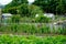 Allotments in UK, vegetable gardens