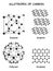 Allotropes of Carbon Infographic Diagram