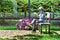 Alloy Children reading book on chair in home garden.