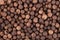 Allspice background. Jamaican pepper, pimento berry, allspice peppercorns or myrtle pepper.