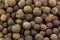 Allspice(Jamaica pepper)