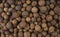 Allspice or Jamaican pepper background. Natural seasoning texture. Natural spices and food ingredients