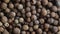 Allspice pimenta jamaica peppercorn background