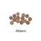 Allspice - vector illustration in flat design isolated on white background. Whole allspice berries vector icon.
