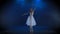 Alluring ballerina in white tutu performing classical ballet. Slow motion.