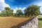 Alluring view on a grass field and a beautiful olive trees in Apulia countryside, Italy.