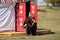 Almaty / Kazakhstan - 09.23.2020 : A teenager in a Kazakh national costume holds a tamed Golden eagle in his hands.