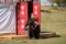 Almaty / Kazakhstan - 09.23.2020 : A teenager in a Kazakh national costume holds a tamed Golden eagle in his hands