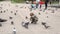Almaty, Kazakhstan - 20170531 - Boy feeds pigeons in park.
