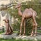 Almaty - The sculpture The Camels