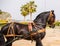 ALMAYATE, SPAIN - APRIL 22, 2018 Traditional Andalusian contest based on the presentation of the ability to drive horse with cart