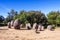 Almendres Cromlech, Ancient Megalithic Monument of Standing Stones