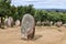 Almendres Cromlech, Portugal