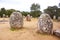 Almendres megalithic complex, Portugal