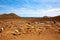 Almeria Cabo de Gata goats in Genoveses beach