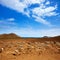 Almeria Cabo de Gata goats in Genoveses beach