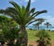 Almeria sea promenade