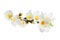 Almond flowers blossom, white petals, cherry watercolor closeup composition. Spring flowers isolated on white background, Easter s