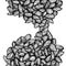 Almond hand drawn vertical composition, ink drawing of a pile of almonds, uncolored raster image