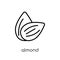 Almond icon. Trendy modern flat linear vector Almond icon on white background from thin line nature collection
