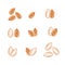 Almond icon vector illustration