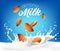 Almond milk splash with nuts, cream or dairy drink