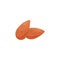 Almond nut brown seed, isolated. Two whole almonds lying in heap, cartoon vector icon or logo. Nut seed illustration.