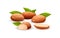 Almond nut composition, food vector drawing, flat