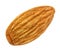 Almond nut core whole single isolated on white background with clipping path. Full depth of field