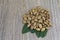 Almond nut on green leaf on wood background