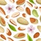 Almond Nut Kernel with Shell and Flower Seamless Pattern Vector Template