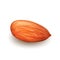 Almond Nut Kernel Vitamin Natural Food Vector