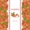 Almond nut vertical seamless border. Vector illustration with composition of a delicious almonds nuts fruit in the shell