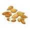 Almond Nuts Colored Detailed Illustration
