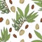 Almond nuts Patern seamless print textile food useful vitami