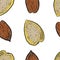 Almond  nuts Patern seamless print textile food useful vitamins