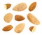 Almond nuts whole and purified cores, nine pieces isolated on white background with clipping path. Set of parts. Full depth of