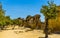 Almond and Olive trees along the interior of the defensive wall of the ancient Sicilian city of Agrigento with the Temple of Juno