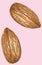 Almond seed design