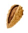 Almond shell with clipping path