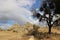 Almond tree autumn sky geological formation rocky