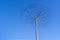 Almond tree with birds sculpture on the promenade near Molinar